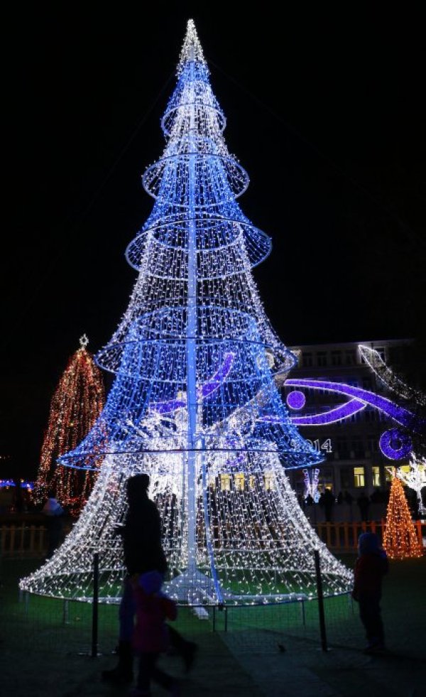 Снимка: Impact Press Group