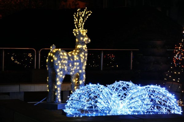 Снимка: Dnes.bg