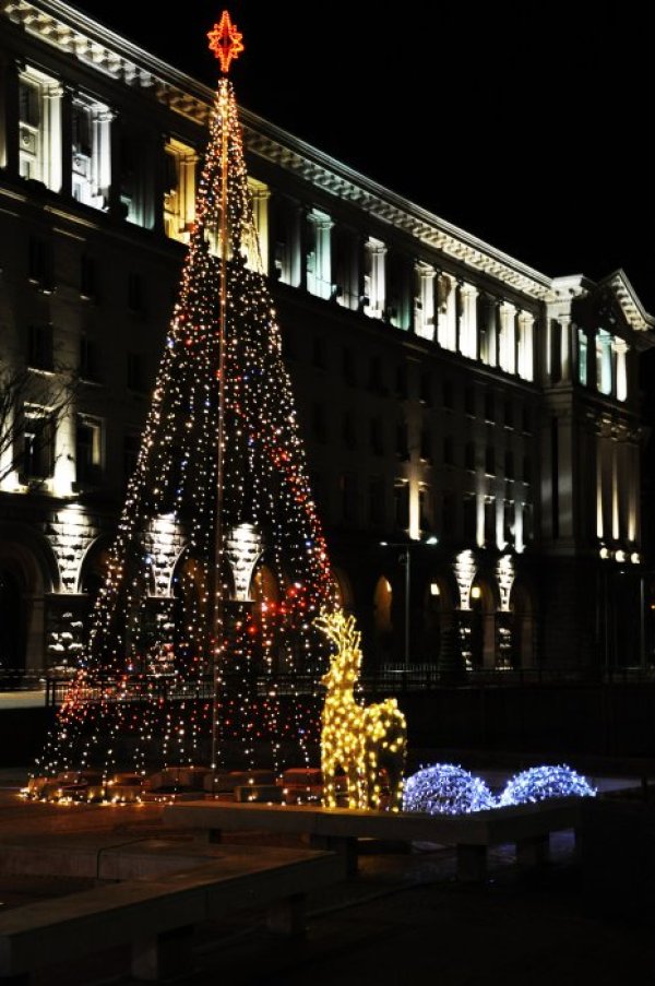 Снимка: Dnes.bg