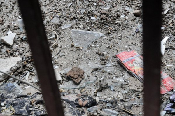 Снимка: Булфото