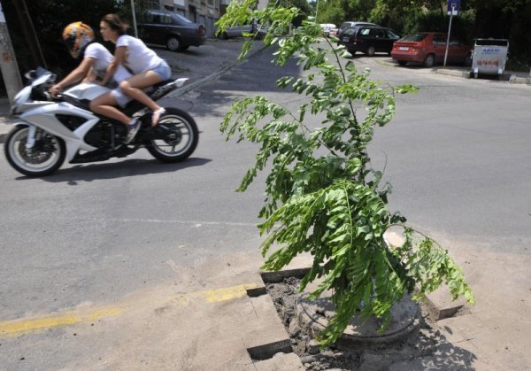 Клон, забит на улица &quot;Стара планина&quot; в Хасково, предупреждава шофьорите за опасност на пътя. Типично българската сигнализация е на завой и така указва дупката край шахтата. В тази част движението по улицата е натоварено заради близкия парк &quot;Кенана&quot;. Снимка: Булфото