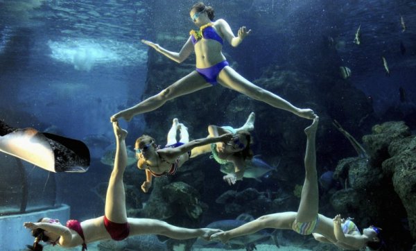 Отбор състезателки по синхронно плуване от Русия са атракцията във воден парк в китайската провинция Фудзиен. Снимка: Reuters