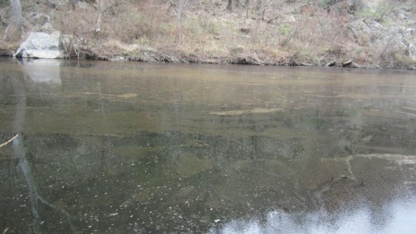 Снимка: Булфото