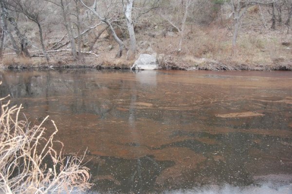 Снимка: Булфото