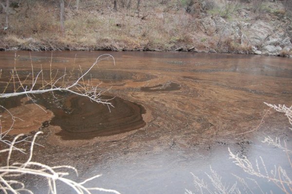 Снимка: Булфото