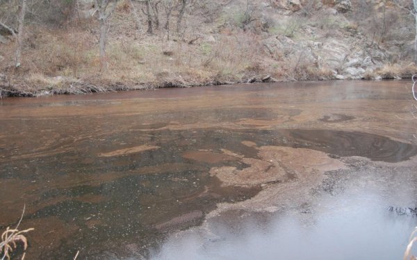 Снимка: Булфото