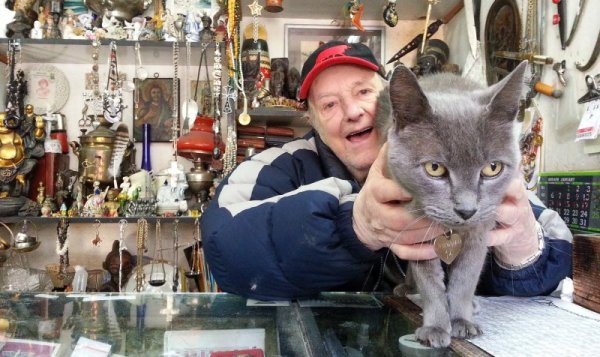 Котката Томина вече 15 години е верен другар на един от най-възрастните антиквари във Варна. Снимка: Impact Press Group