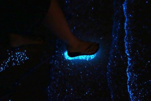 Снимка: Flickr