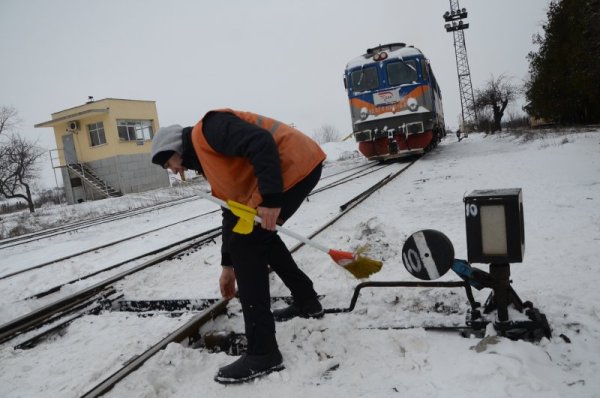 Снимка: Impact Press Group