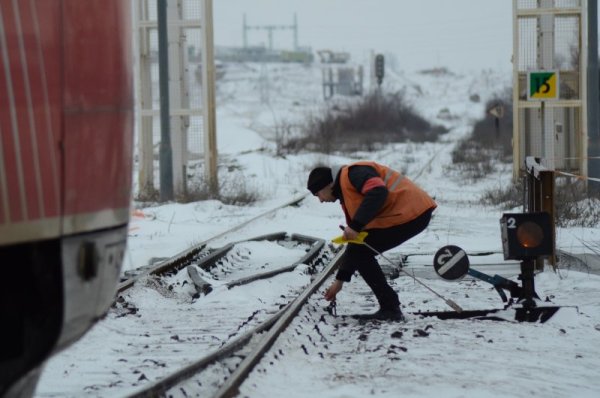 Снимка: Impact Press Group