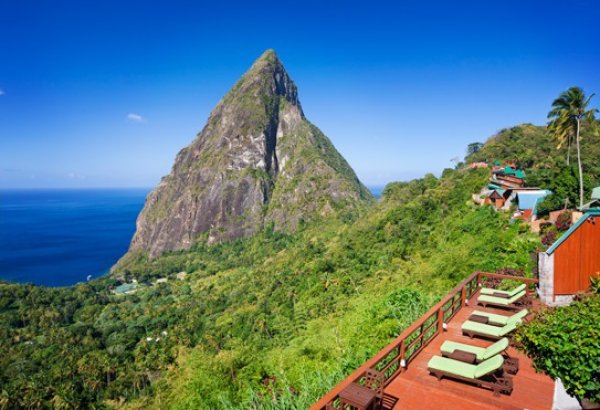 Снимка: ladera.com