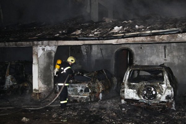 Снимка: Булфото