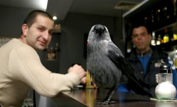 Снимка: Impact Press Group