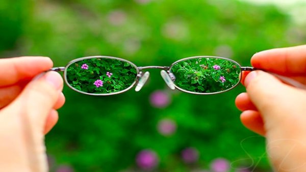 Мит е, че хората имат пет сетива. Всъщност броят им зависи от учения, когото попитате, но с ноцицепцията и проприоцепцията със сигурност стават повече от пет. Снимка: flickr