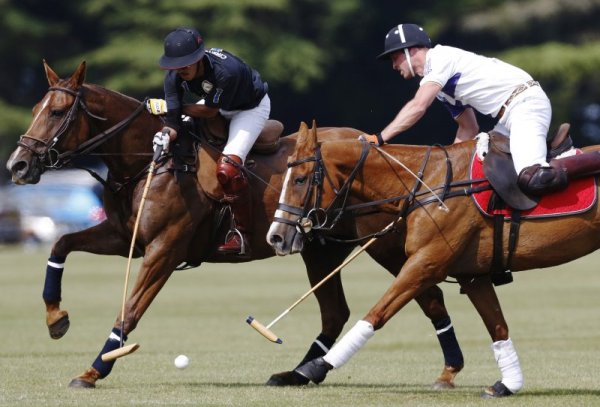 Поло: Ограта е една от топ асоциациите със скъп спорт. Причината за това е, че освен в екипировка, за спорта е нужен и кон.&nbsp;Снимка: Reuters
&nbsp;