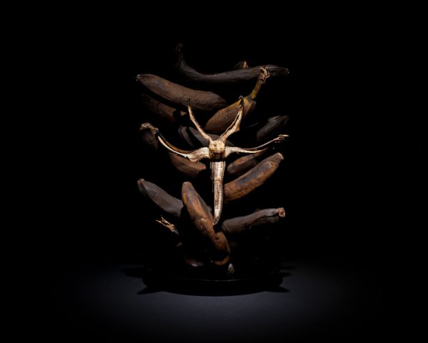Банани.&nbsp;Снимка: Klaus Pichler