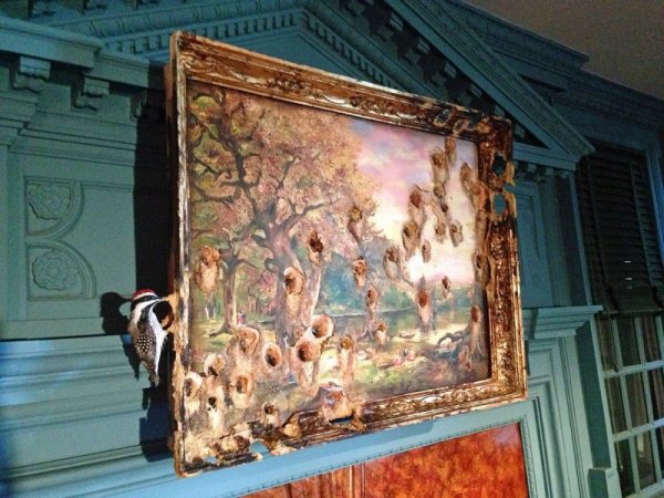 Снимка: valeriehegarty.com