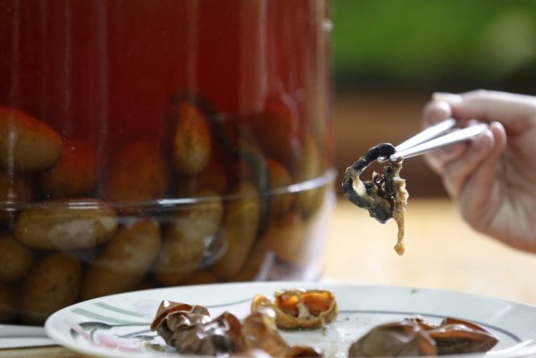 Змийски деликатес! Посетител на фестивал в северен Тайван хапва ембрион от кобра. Снимка: Reuters