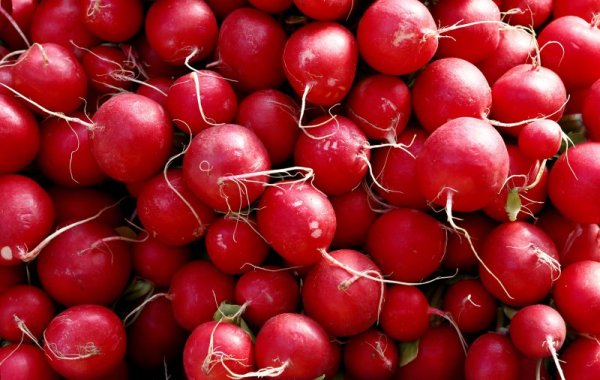 Репичките са част от семейството на зелето.  Снимка: Reuters