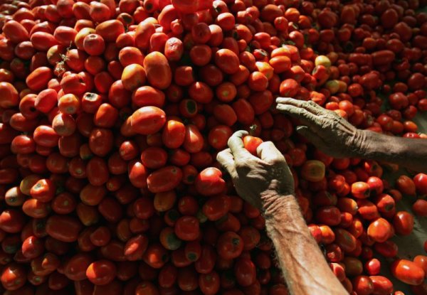 Кетчупът се е използвал за лекарство до началото на 19 век и с него се е лекувала диарията. Снимка: Reuters