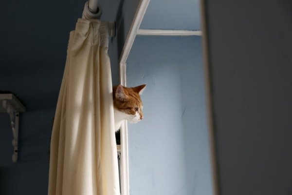 Снимка: Reuters