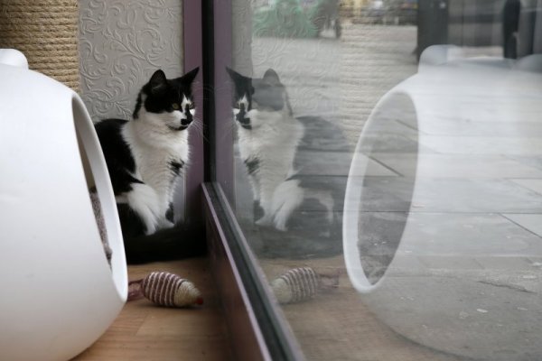 Снимка: Reuters