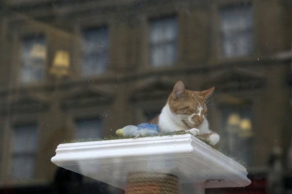 Снимка: Reuters