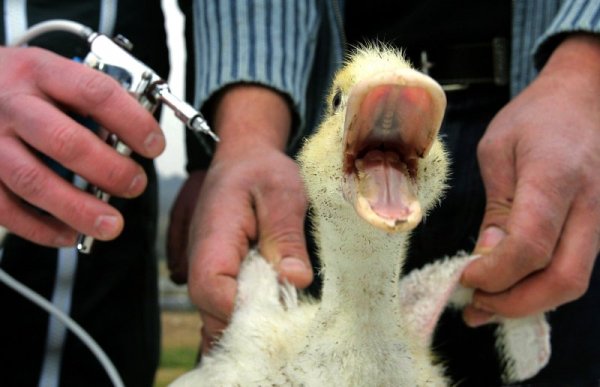 Снимка: Reuters