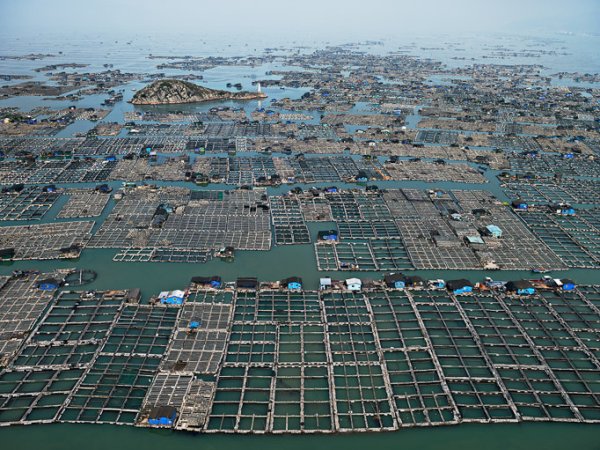 Китай 2012 г. Снимка: Edward Burtynsky