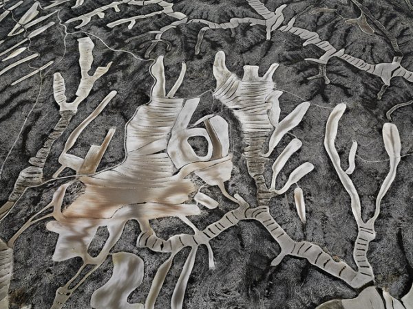 Арагон, Испания 2010 г. Снимка: Edward Burtynsky