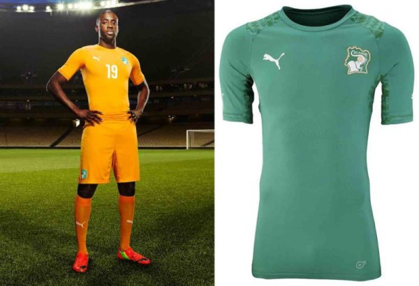 Кот Дивоар. Снимка: Puma