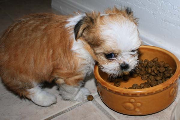 38 003 часа ядем. Снимка: Flickr