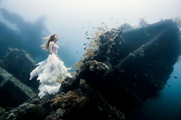 Снимка: vonwong.com