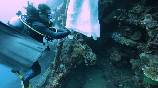 Снимка: vonwong.com