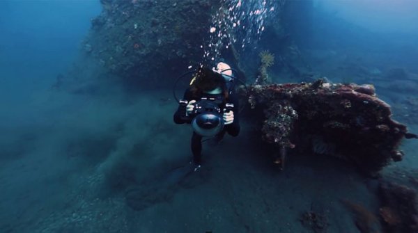 Снимка: vonwong.com