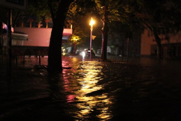 Снимка: Mediacafe.bg