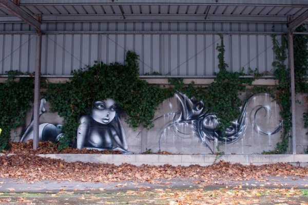 Снимка: viniegraffiti.com