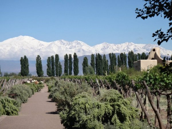 №17: Cavas Wine Lodge, Мендоса, Аржентина. Снимка: Facebook/Cavas Wine Lodge