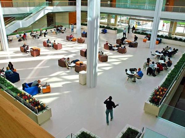 № 5 University of Chicago (Booth School of Business)

Рейтинг: 3.94 от 5 

Локация: Чикаго, Илинойс

Обучение и такси: $94,933

В сравнение с миналата година скача в класацията с цели 20 места. Booth School of Business предлага няколко вида магистърски бизнес програми за възпитаниците си
- на пълен работен ден, вечерни, съботно-неделни.

Снимка: Wikipedia