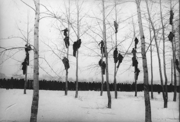 Микола Гнисюк, &quot;Гарваните долетяха&quot;, 1964 г.