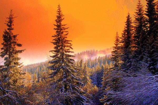 Снимка: flickr