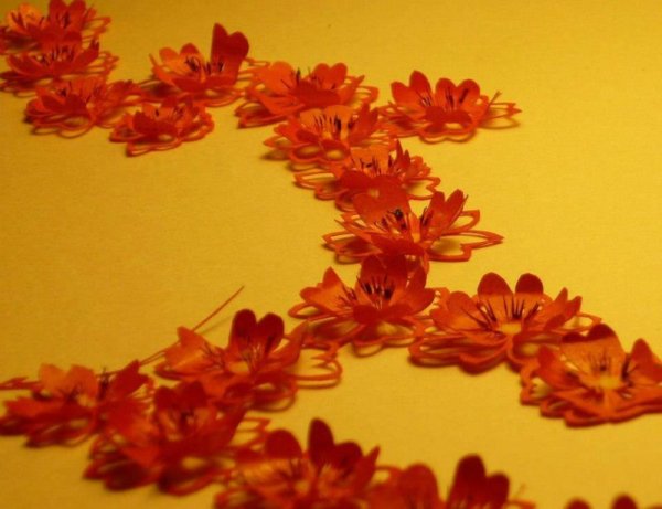 Снимка: Facebook