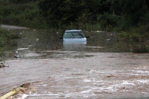 Снимка: Impact Press Group