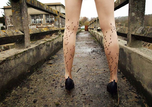 Ще бъдете различни в чорапогащи в стил "Буба лази...". Снимка: les-queues-de-sardines.com