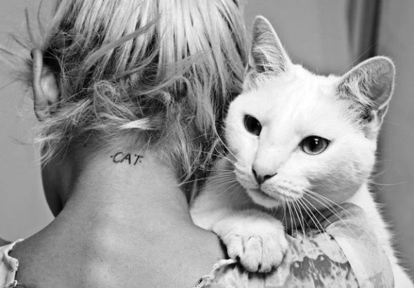 Снимка: mariposa-vibe.blogspot.com