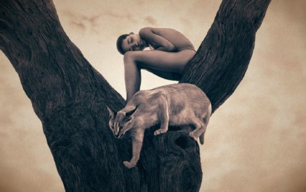 Снимка: gregorycolbert.com