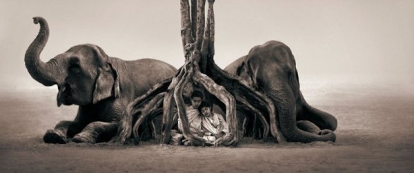 Снимка: gregorycolbert.com