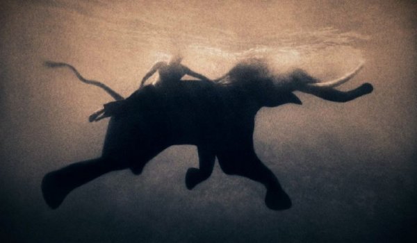 Снимка: gregorycolbert.com