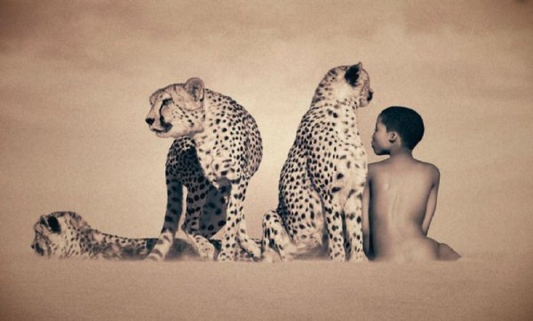 Снимка: gregorycolbert.com