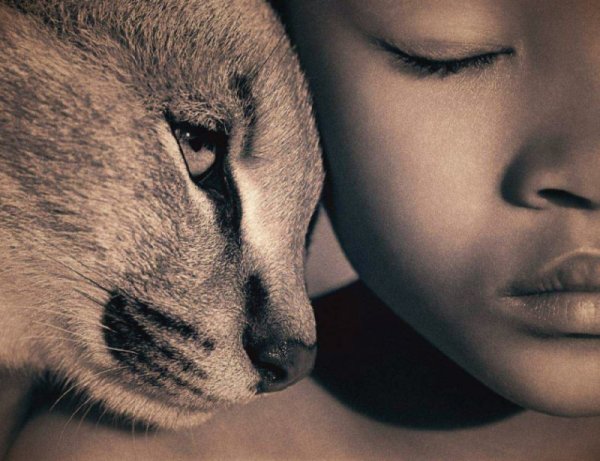 Снимка: gregorycolbert.com